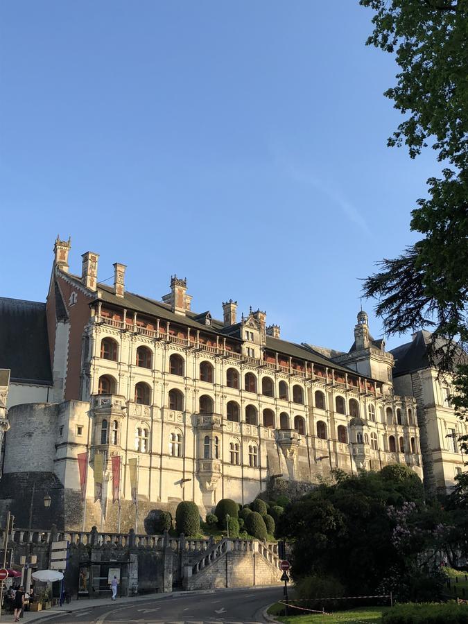 Logis Hotel Louise De Savoie Blois Exterior foto